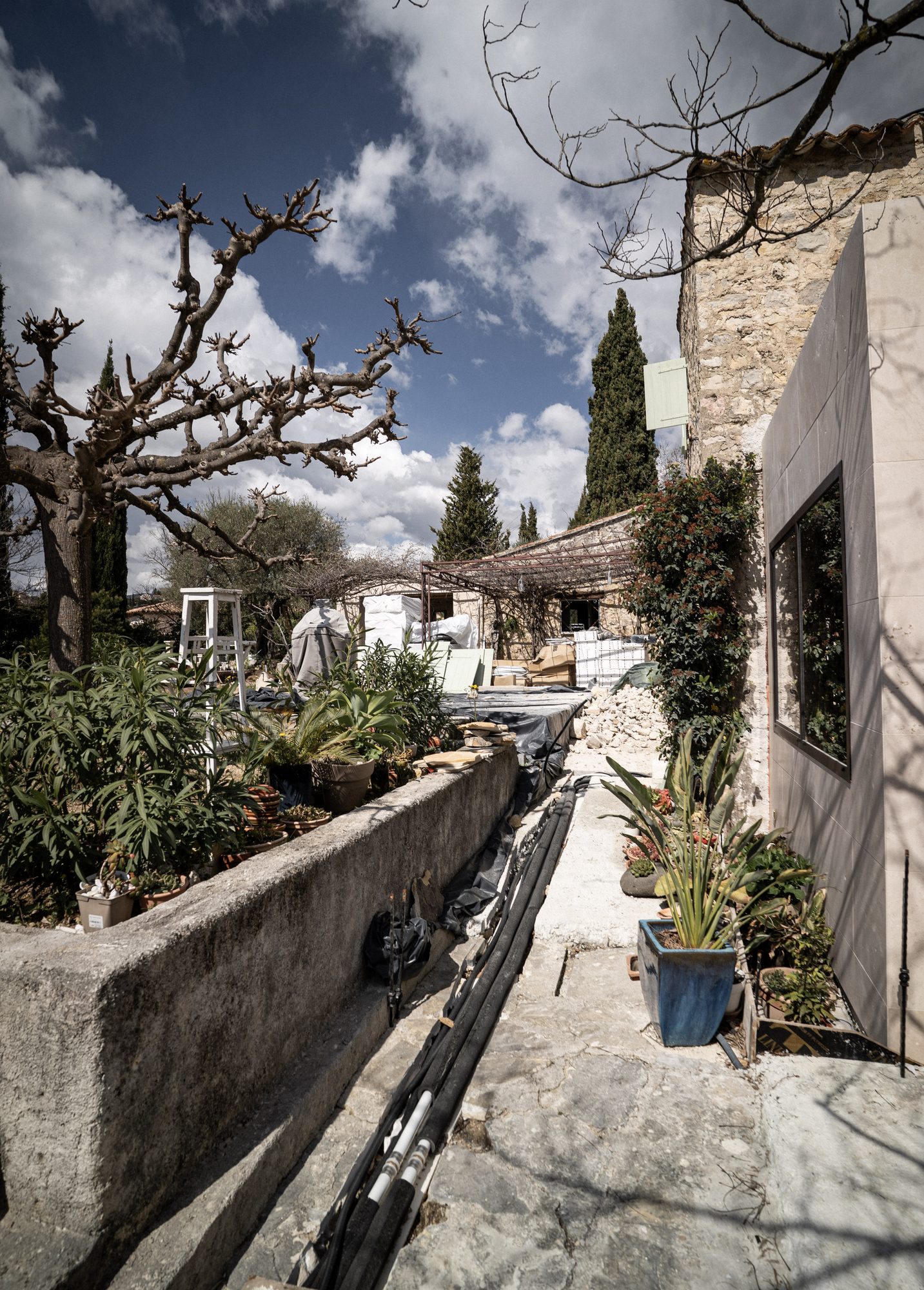 Wisteria-shaded walkway between the new and old volumes